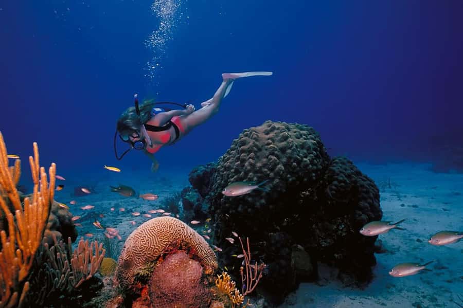 Phuket: PADI Advanced Open Water Course 2 days/6 Dives - What you’re actually learning: deep work and underwater navigation