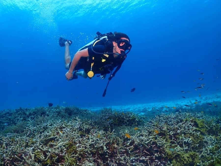 Phuket: PADI Advanced Open Water Course 2 days/6 Dives - Onboard meals, breaks, and staying comfortable in Phuket sun