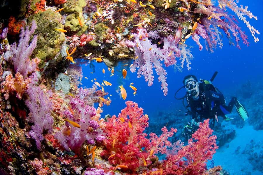 Phuket: PADI Advanced Open Water Course 2 days/6 Dives - Day 1: first round of Racha practice and confidence-building