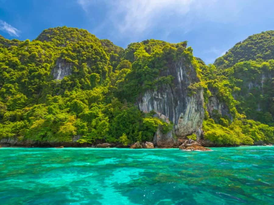 Phuket: Phi Phi & Bamboo Island Day Trip with Buffet Lunch - Price and value: why $109 can feel fair