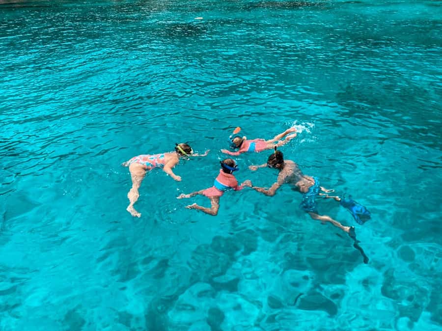 Phuket: Phi Phi & Bamboo Island Day Trip with Buffet Lunch - Viking Cave pass-by: the bird’s nest tradition angle