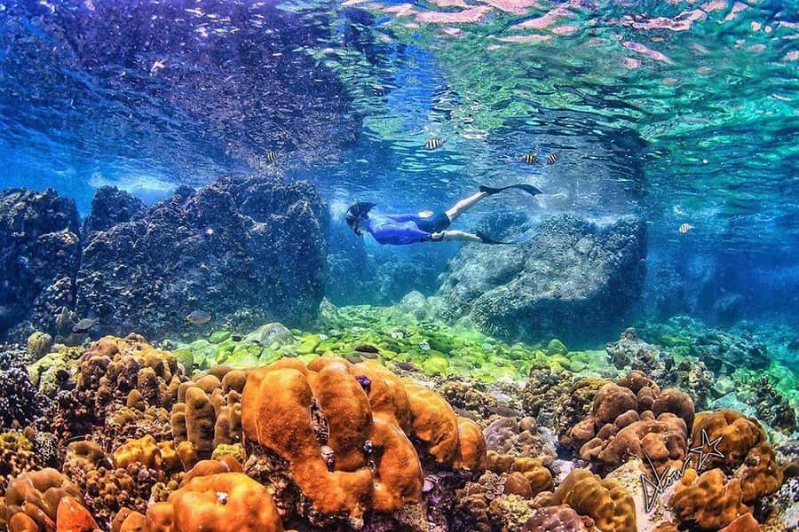 Phuket: Phi Phi & Bamboo Islands Snorkeling by Speedboat - The snorkeling value: two sessions, smart variety, and realistic expectations