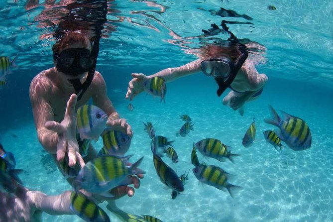 PHUKET-Phi Phi Island-Khai Island-Lunch by Sea Angel Speed Boat - Monkey Beach and the Maya Bay circuit: how to use your time