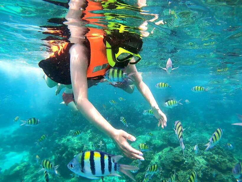 Phuket: Phi Phi Islands and Maya Bay Day Trip with Lunch - Viking Cave: bird nests and a more nature-forward stop