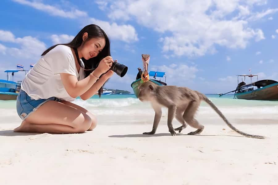 Phuket: Phi Phi Islands, Bamboo Island and Pileh Lagoon Trip - Key takeaways before you go