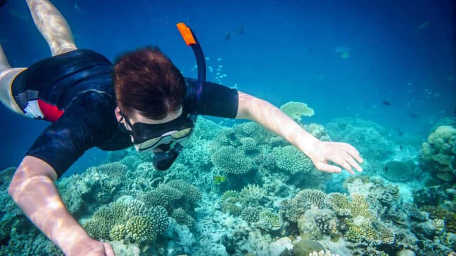 Phuket: Phi Phi Islands, Bamboo Island and Pileh Lagoon Trip - Price and value: what $96 buys you in real-world terms
