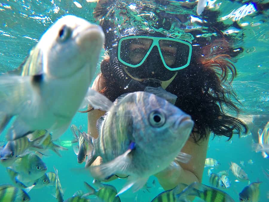 Phuket: Phi Phi & James Bond Island Combo Day Tour w/Lunch - Key things I’d focus on before booking