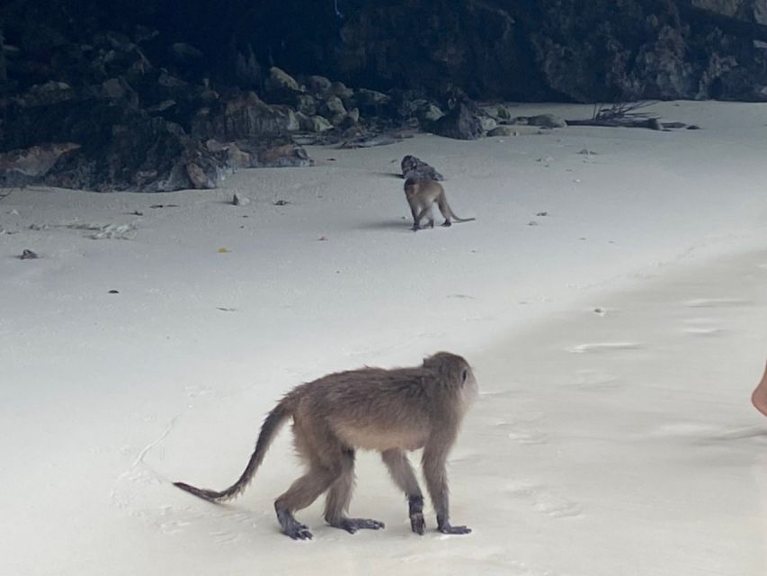 Phuket: Phi Phi & Khai Island Private Speedboat Charter Tour - Price and value: $812 for up to 2 people is not cheap
