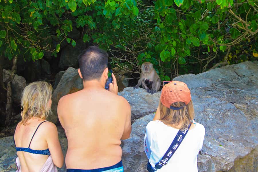 Phuket: Phi Phi Khai or Maiton Island by Speedboat/Catamaran - Longtail boats are optional (and cost extra)
