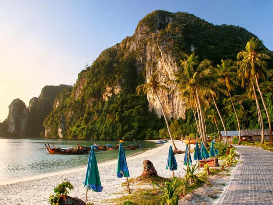 Phuket; Phi Phi, Maya Bay, Bamboo or Khai Island Speedboat - Viking Cave photo stop: quick views on the scenic route