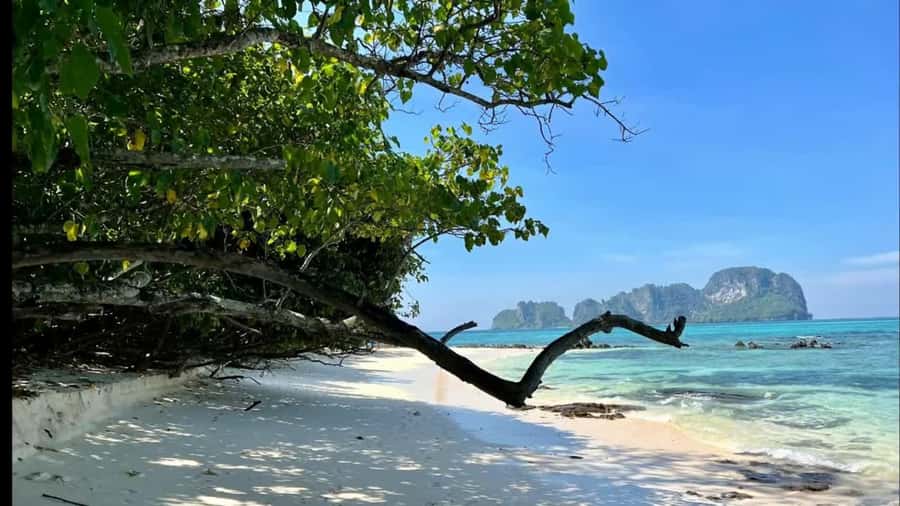Phuket: Phi Phi, Maya, Khai or Maiton or Bamboo Island Tour - What to Bring (And What to Leave Behind)