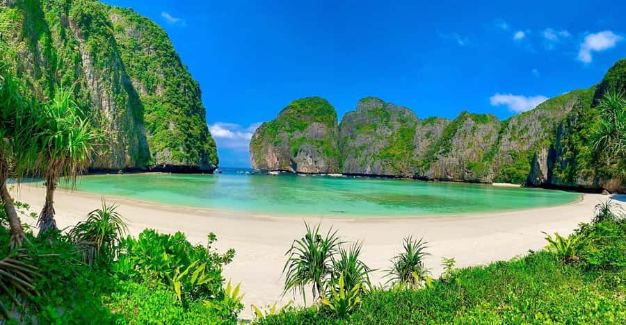 Phuket: Phi Phi, Maya, Koh Khai Day Tour by Speed Catamaran - Key points to know