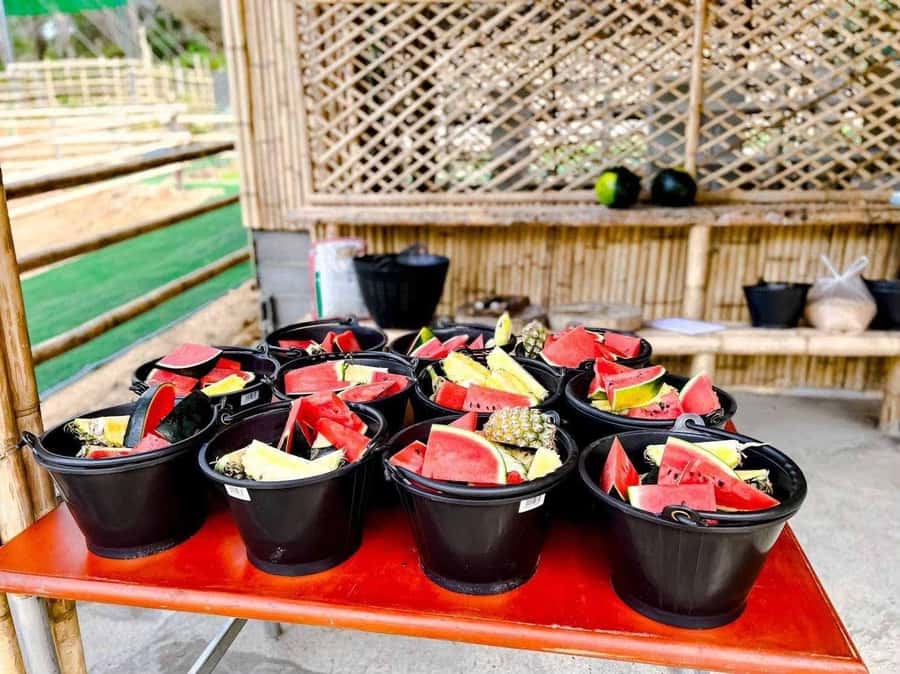 Phuket: Phuket Elephant Care Sanctuary ECO Tour - Kathu vs. Naithon: Two Sanctuaries, One Core Experience
