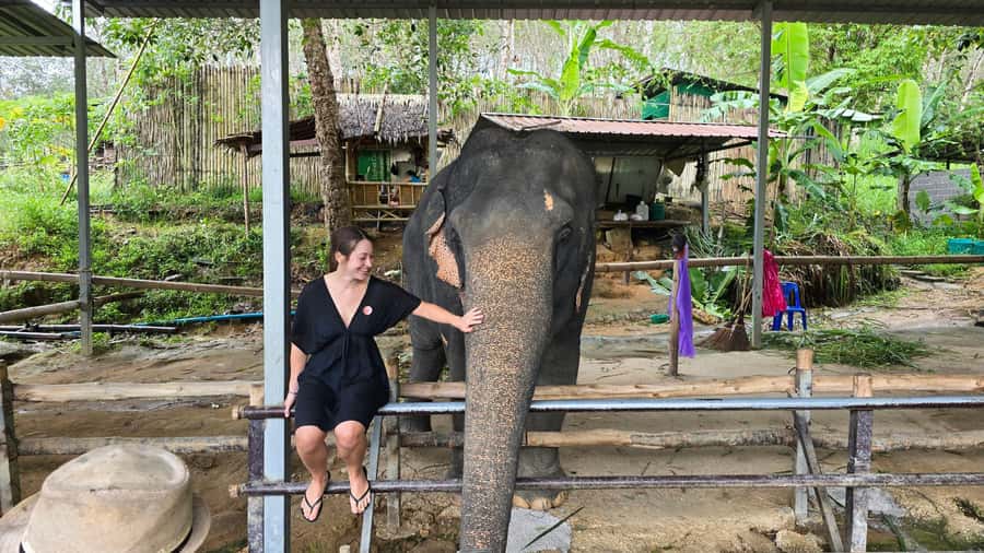 Phuket: Phuket Elephant Care Sanctuary ECO Tour - The Door-to-Door Setup: Pickup, Snacks, and Getting Oriented