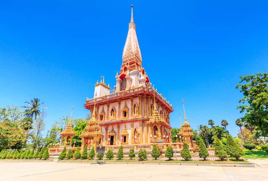 Phuket: Phuket Elephant Sanctuary, Wat Chalong & more - Feeding, bathing, and petting: staying respectful and safe
