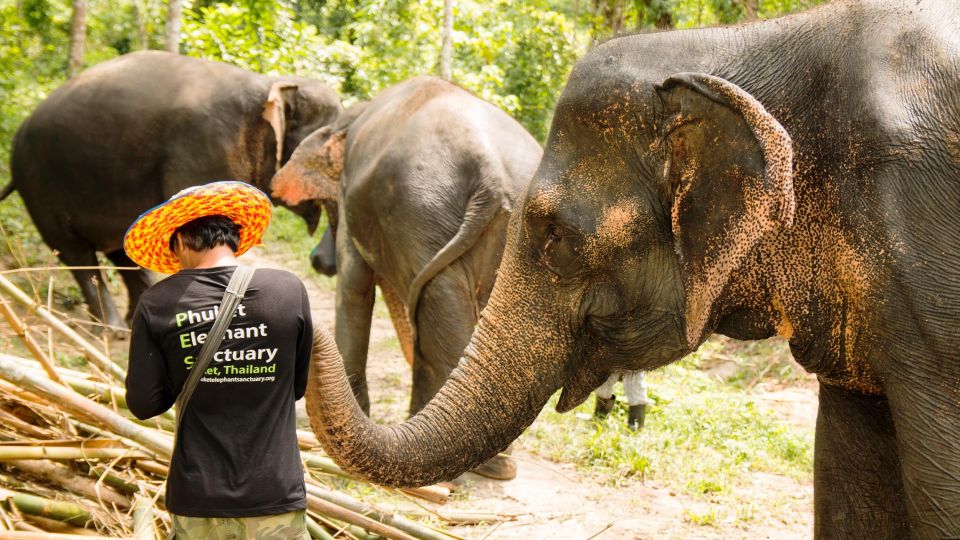 Phuket: Phuket Elephant Sanctuary, Wat Chalong & more - Wat Chalong guided tour: why the temple details matter