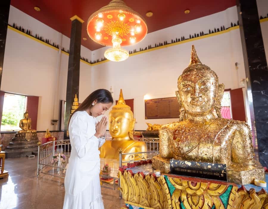Phuket: Private & All-Inclusive Giant Water Lilies Tour - Key Things I’d Bookmark Before You Go