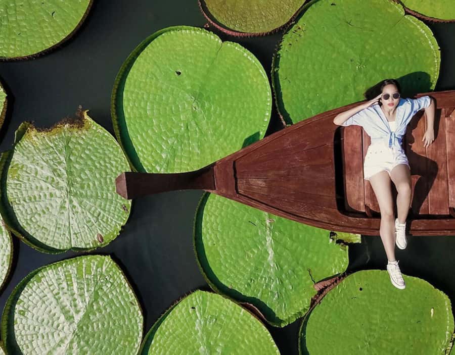 Phuket: Private & All-Inclusive Giant Water Lilies Tour - Why Standing on Victoria Amazonica Lilies Feels Different