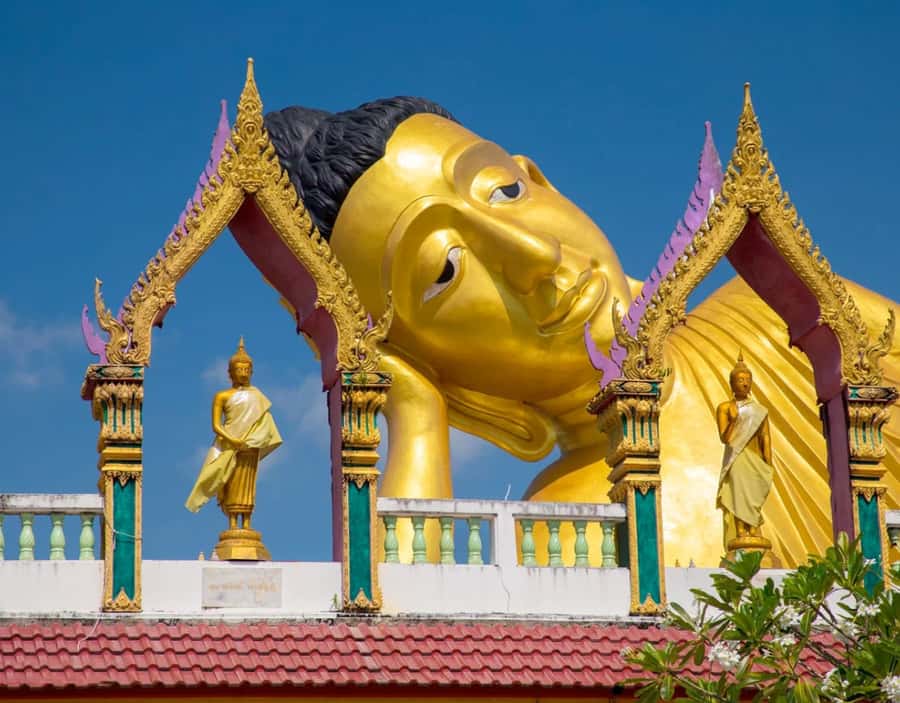 Phuket: Private & All-Inclusive Giant Water Lilies Tour - Getting the Temple Story: Wat Phra Thong’s Half-Buried Golden Buddha