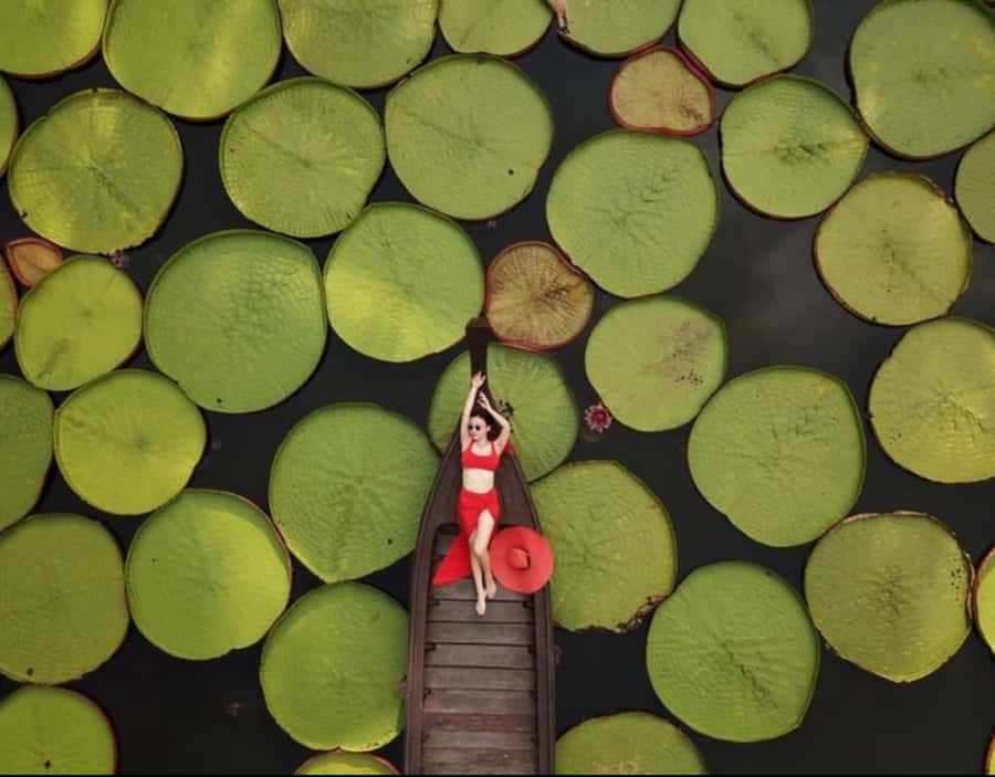 Phuket: Private & All-Inclusive Giant Water Lilies Tour - Wat Phra Nang Sang: Phuket’s Oldest Temple