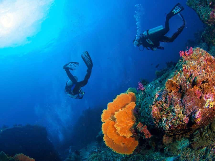Phuket: Racha Island and Coral Islands + Scuba Beach Dive - Underwater time on a guided program: what to expect without the guesswork