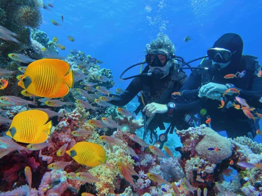 Phuket: Racha Island and Coral Islands + Scuba Beach Dive - Tarikipas Restaurant buffet lunch on Racha Yai: the “thank you” meal