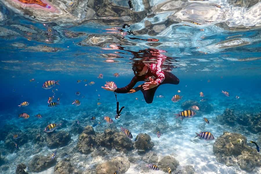 Phuket: Racha Islands Premium Tour with Snorkel & Lunch - Koh Racha Yai: lunch buffet on the beach, then more swimming