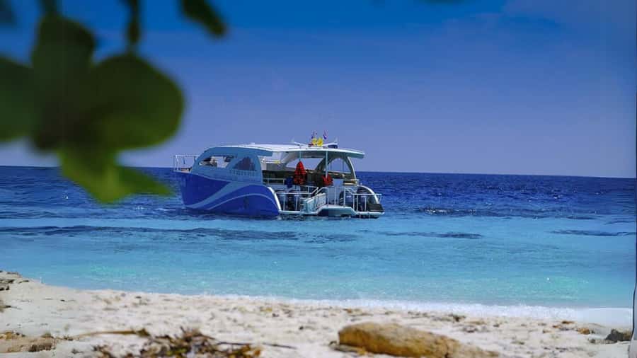 Phuket: Raya Island, Maithon Island, & Dolphin Spotting Tour - Racha/Yai Island Break and Lunch: The Breather You’ll Actually Need