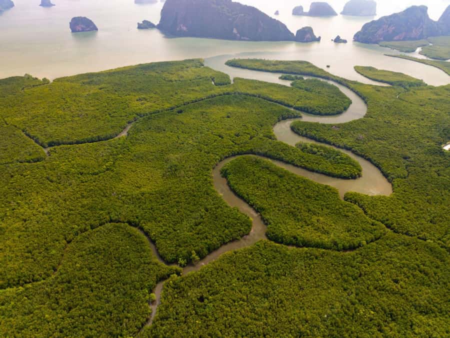Phuket : Samet Nangshe and Cheow Lan Lake Adventure Day Tour - Transportation and pacing: the 12-hour reality check