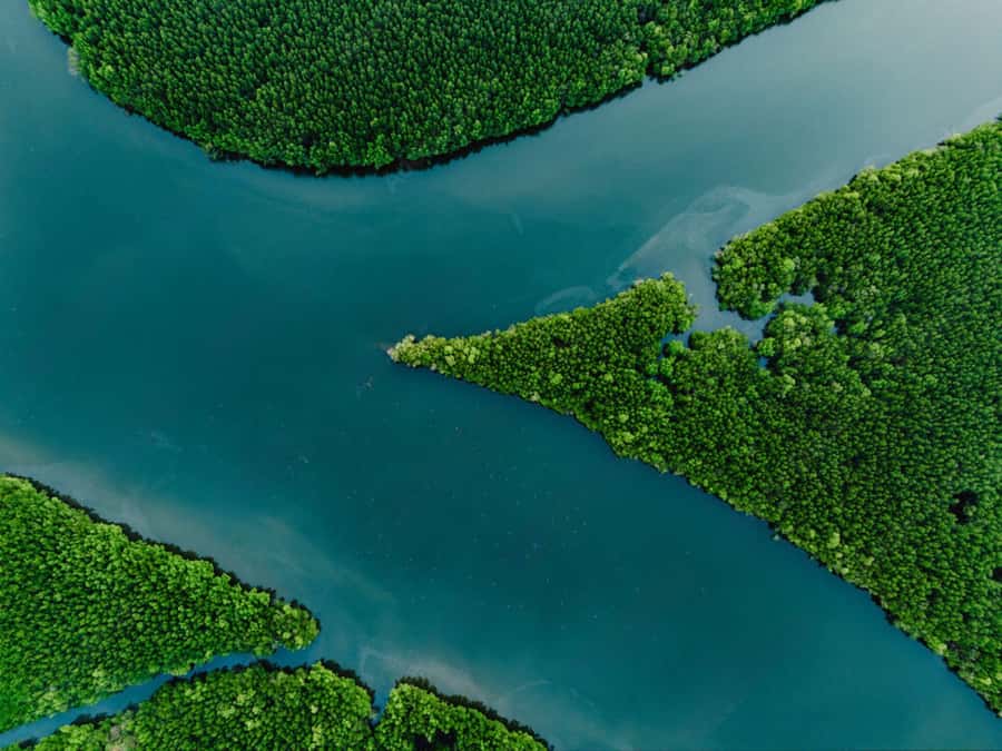 Phuket : Samet Nangshe and Cheow Lan Lake Adventure Day Tour - Price and value: what you’re really paying for at $128
