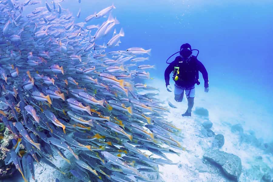Phuket: Scuba Diving Maithon Or Racha Islands For All Levels - What to pack and the short list that keeps you comfortable