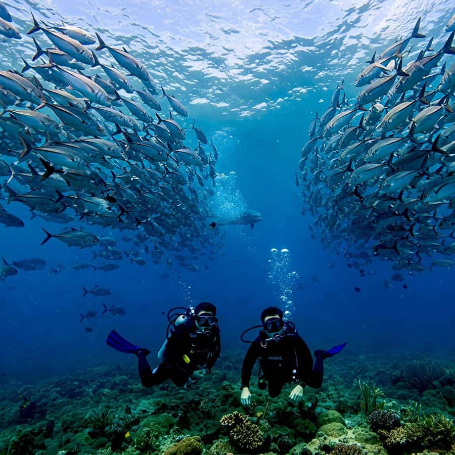 Phuket: Scuba Diving Maithon Or Racha Islands For All Levels - The Phuket morning run: pickup, pier briefing, and the first water stop