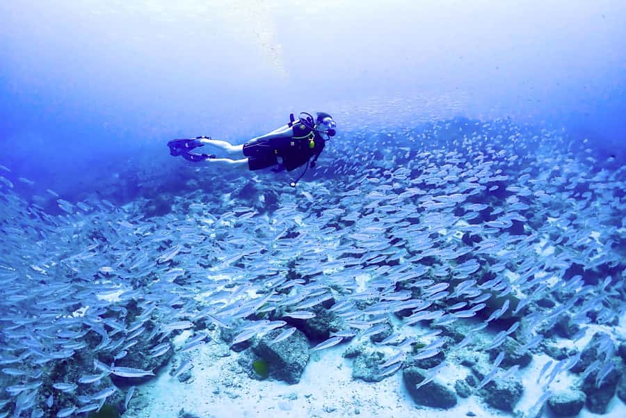 Phuket: Scuba Diving Maithon Or Racha Islands For All Levels - Coral Island break time and the optional adventure layer