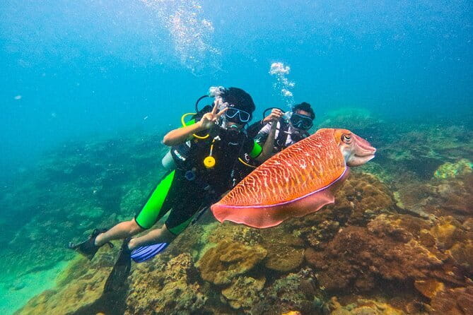 Phuket Scuba Diving Maiton Private Island Small Group or Snorkel - Maiton Private Island: Why This Phuket Water Day Feels Worth It