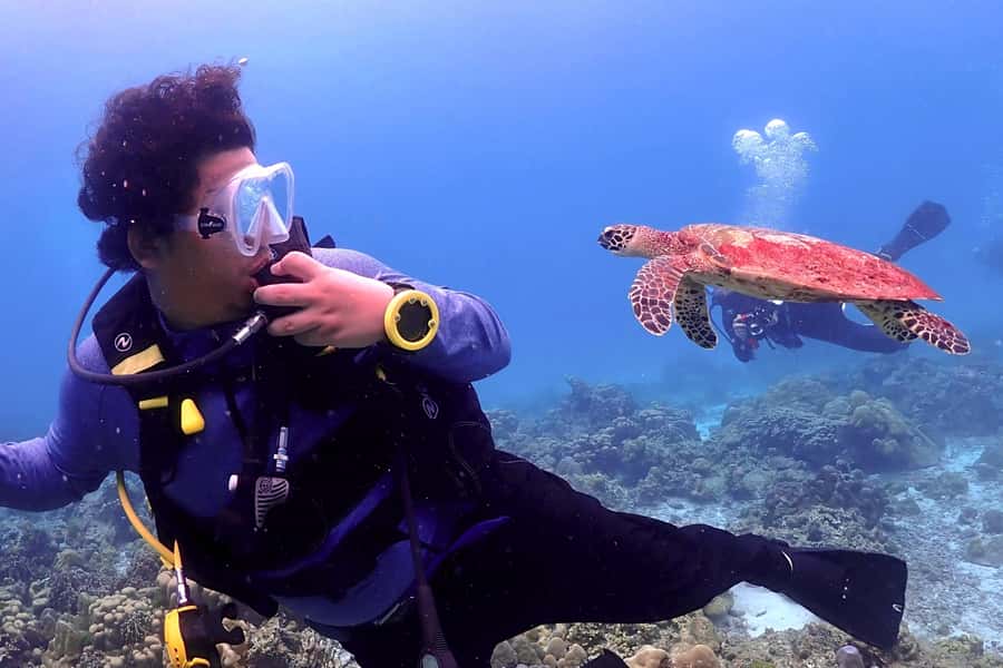 Phuket Scuba Diving Racha Islands 1-3 Dives For All Levels - Why Racha Yai and Noi Are Worth a Full-Day From Phuket