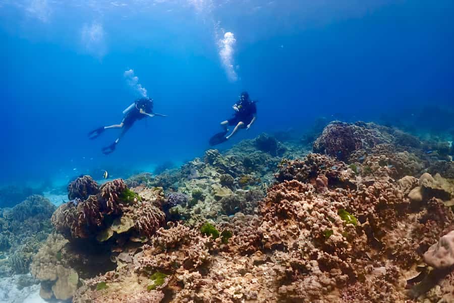 Phuket Scuba Diving Racha Islands 1-3 Dives For All Levels - Equipment, Rules, and What to Bring (So Your Day Stays Easy)