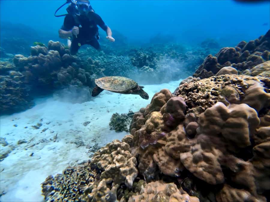 Phuket Scuba Diving Racha Islands 1-3 Dives For All Levels - The 8-Hour Flow: Pick-Up, Transfer, and On-the-Boat Timing