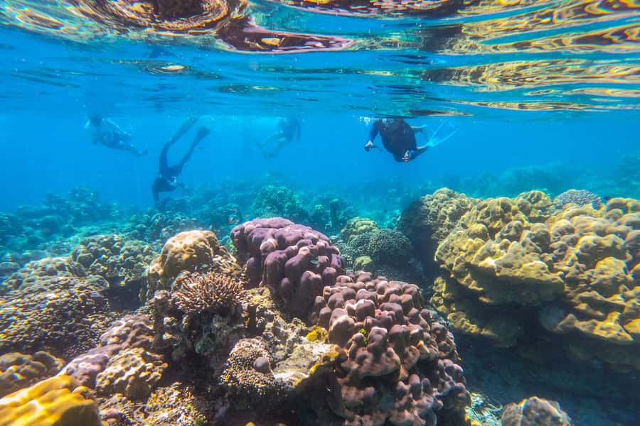 Phuket: Similan day full day trip by speedboat - Phuket to Similan: What This Speedboat Day Trip Really Delivers