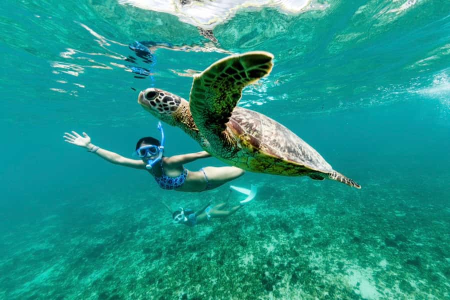 Phuket: Similan day full day trip by speedboat - The Price Tag: Is $83 Good Value After You Add Real Costs?