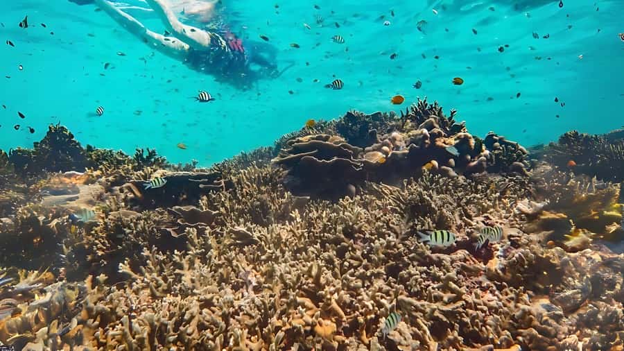 Phuket: Similan Island by Speedboat - What to bring (and what not to): pack like it’s a sea day