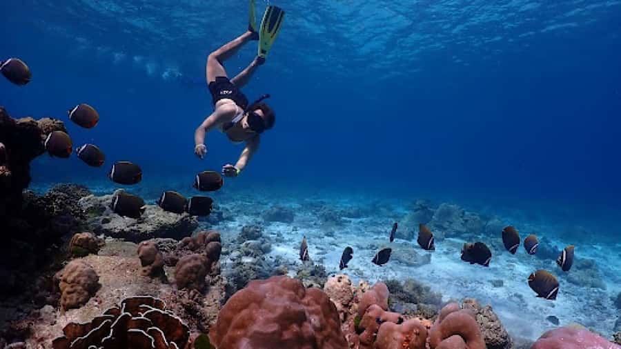 Phuket: Similan Islands Day Tour by Speedboat with Lunch - Boat comfort, crowding, and the pace reality