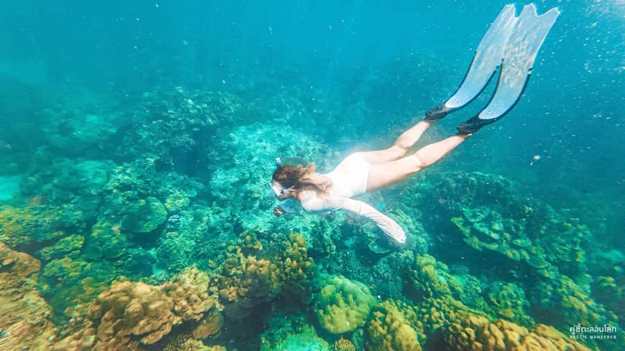 Phuket: Speedboat Day Trip to Phi Phi and Maya Bay - Why this Phuket-to-Phi Phi route feels efficient