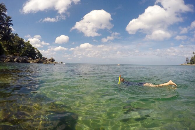 Phuket Stand Up Paddle Board Tour - Laem Son Pineapple Reef: Snorkeling You Can View Twice