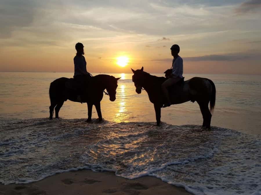 Phuket: Sunset Beach Horseback Journey - Key things to know before you go