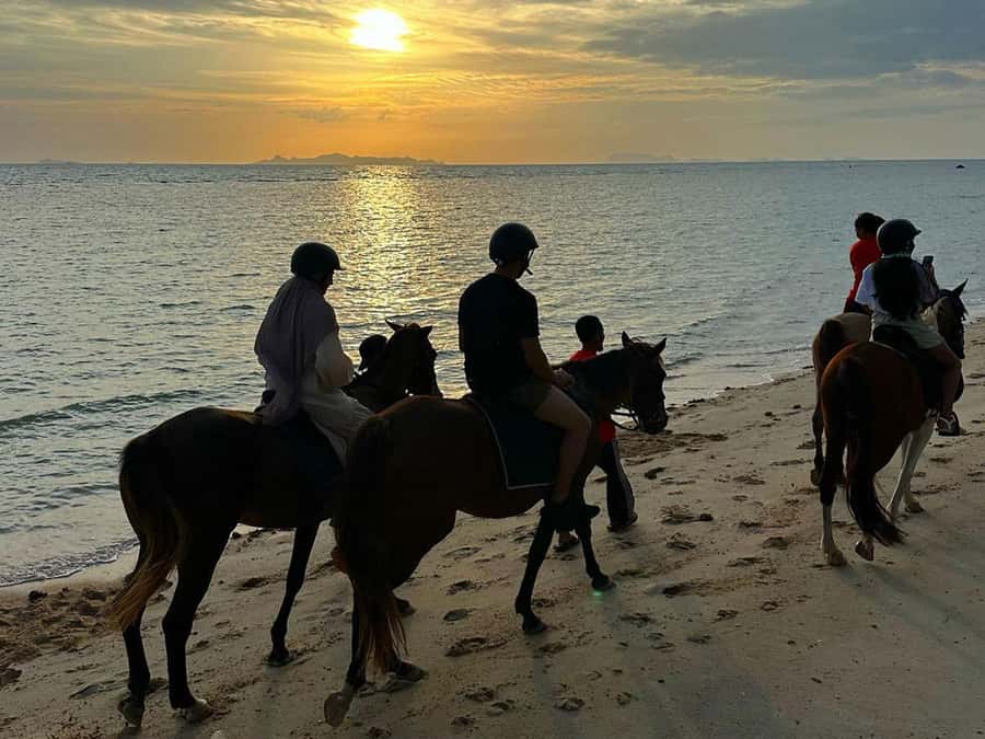 Phuket: Sunset Beach Horseback Journey - Should you book this Phuket Sunset Beach Horseback Journey?