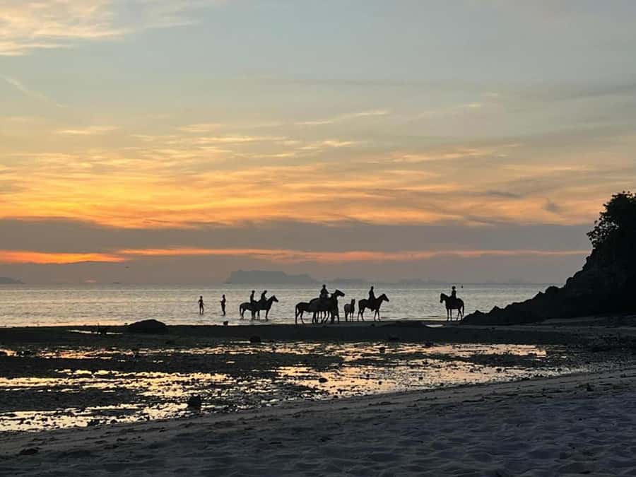 Phuket: Sunset Beach Horseback Journey - Check-in at COLTS Horse Riding: where your ride starts