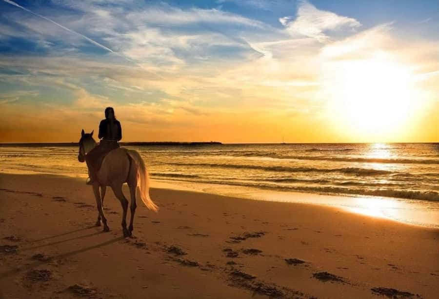 Phuket: Sunset Beach Horseback Journey - Sunset on Nai Yang Beach: plane spotting from the sand