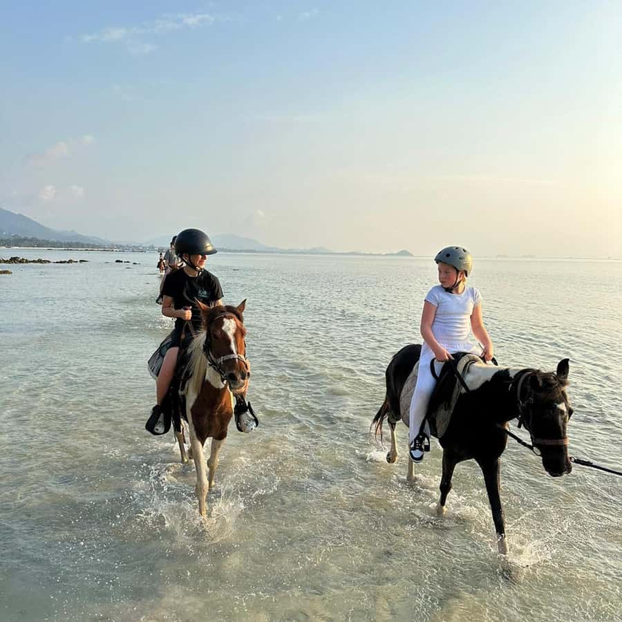 Phuket: Sunset Beach Horseback Journey - Riding into the sea: the thrill is real, but it’s not guaranteed