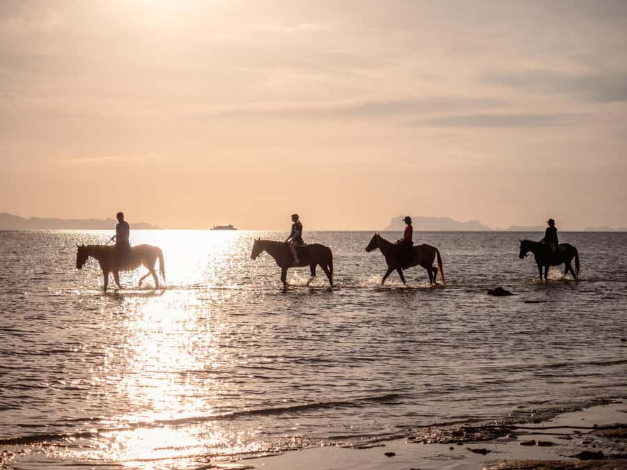 Phuket: Sunset Beach Horseback Journey - Who should go (and who should skip this Phuket sunset ride)