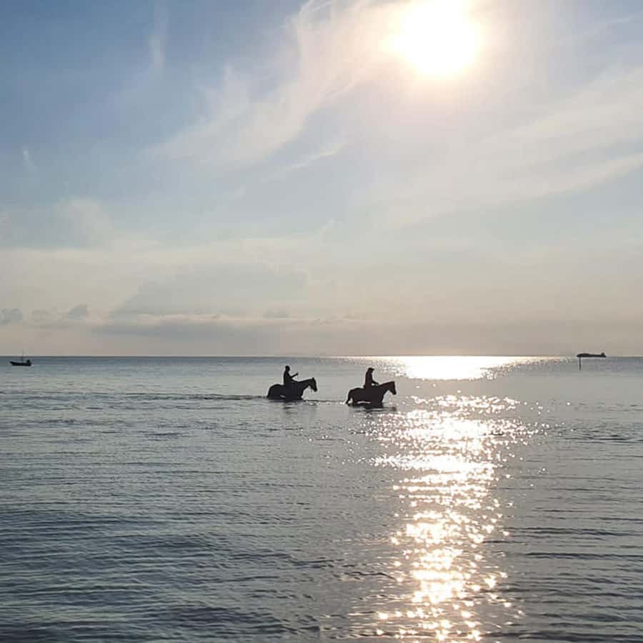 Phuket: Sunset Beach Horseback Journey - Price and value: is $91 worth one hour in Phuket?